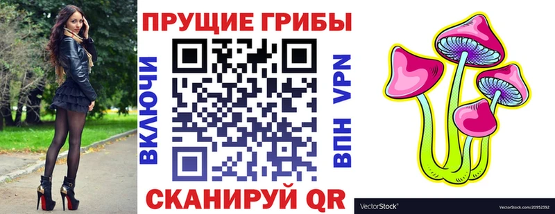 blacksprut вход  Верхняя Салда  Псилоцибиновые грибы мицелий 